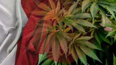 Malta legalizes cannabis